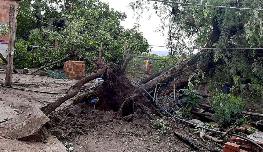 Declaran Alerta Amarilla En El Tolima Por Temporada De Lluvias El Nuevo Día 5965